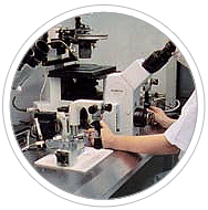 Copper Insulated Magnet Wires Research